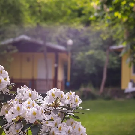Comfortable Bungalow For Two In The Heart Of The Forest Gæstehus 3*